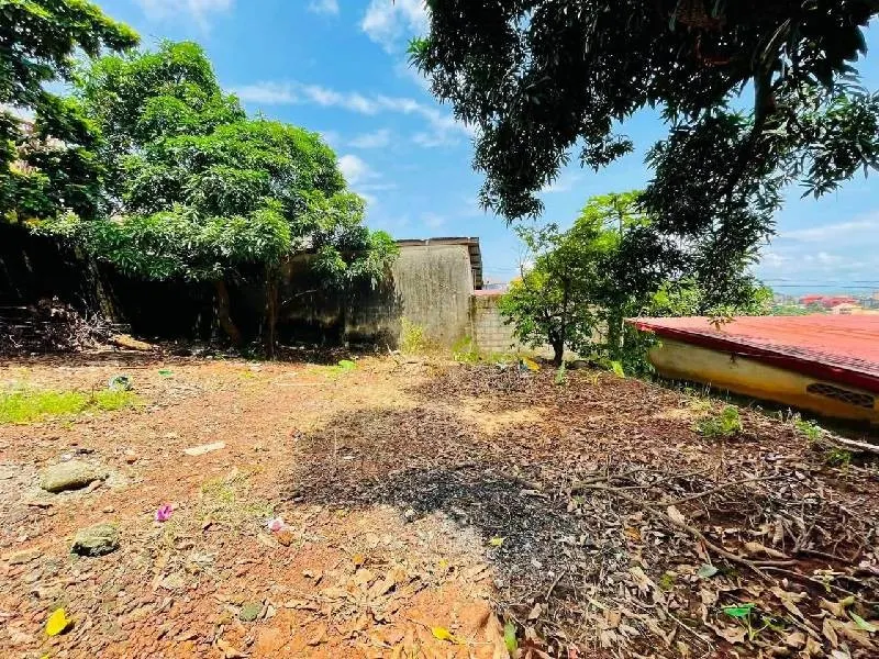 Terrain · Cobaya, photo 9