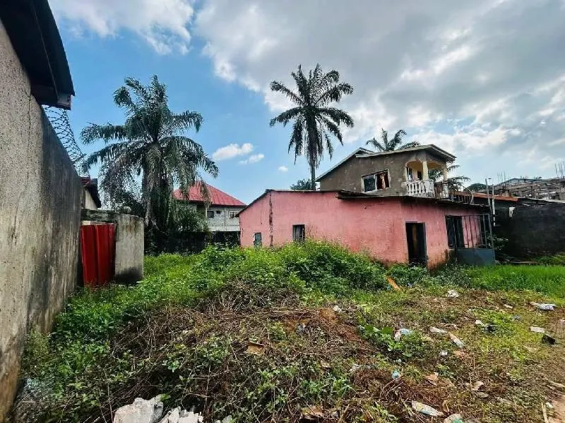 Terrain · Lambanyi, photo 2