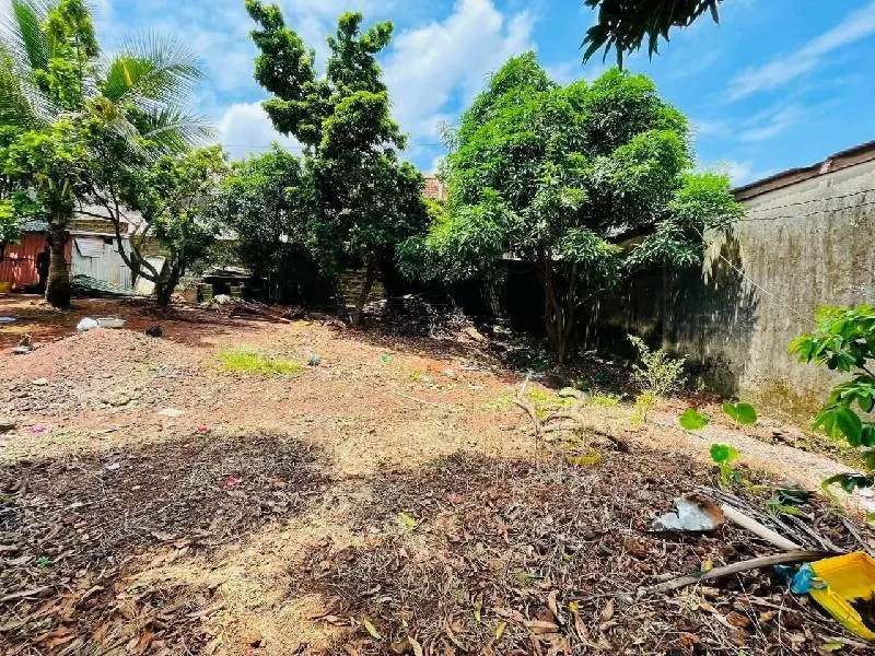 Terrain · Cobaya, photo 5