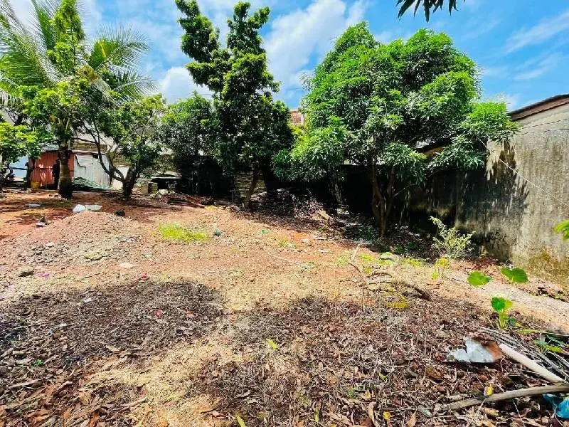 Terrain · Cobaya, photo 7
