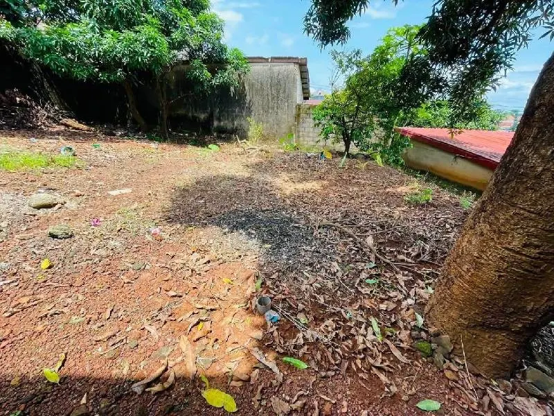 Terrain · Cobaya, photo 2