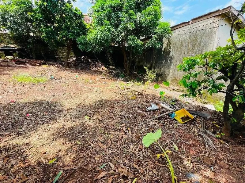 Terrain · Cobaya, photo 8
