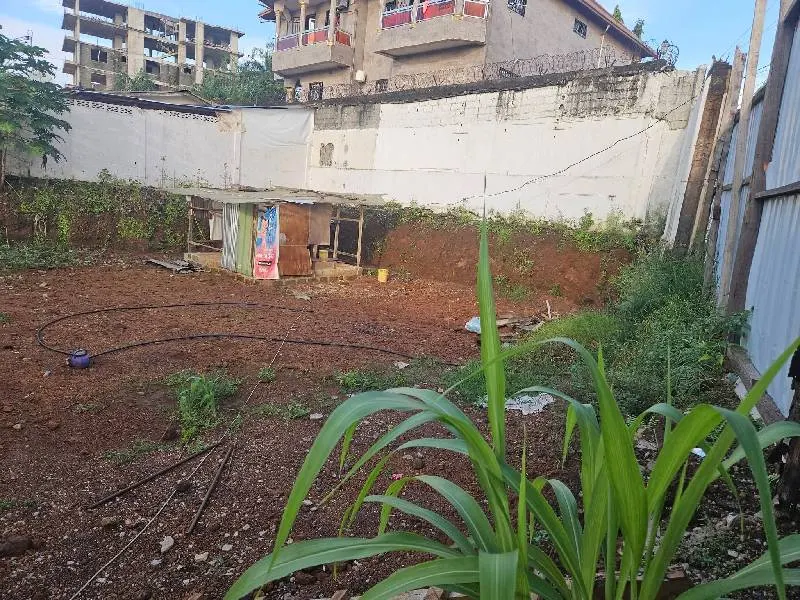 Terrain · Kipé, photo 4