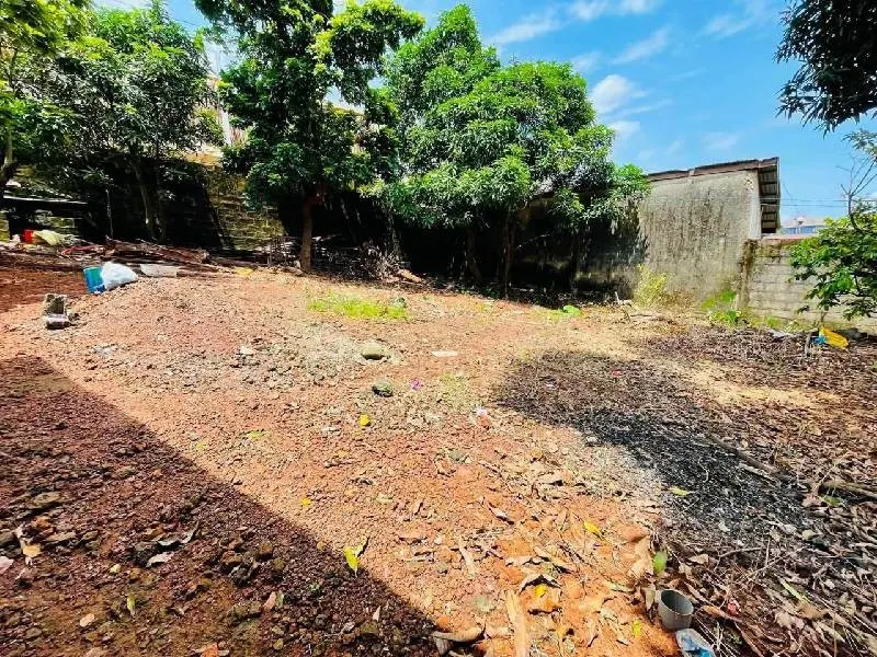Terrain · Cobaya, photo 4