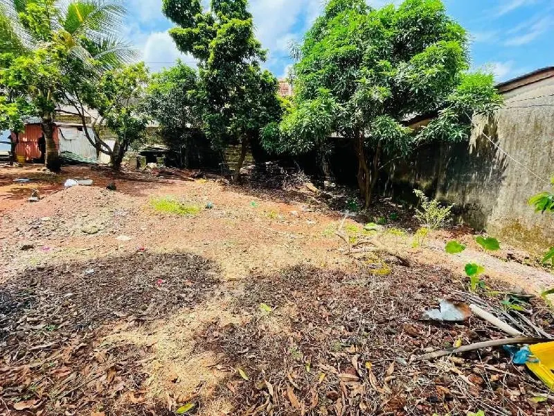 Terrain · Cobaya, photo 6