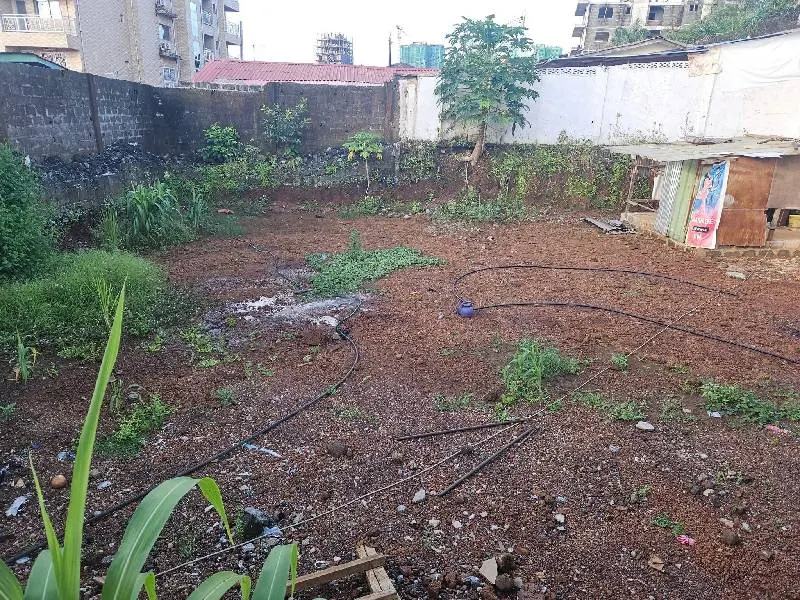 Terrain · Kipé, photo 3