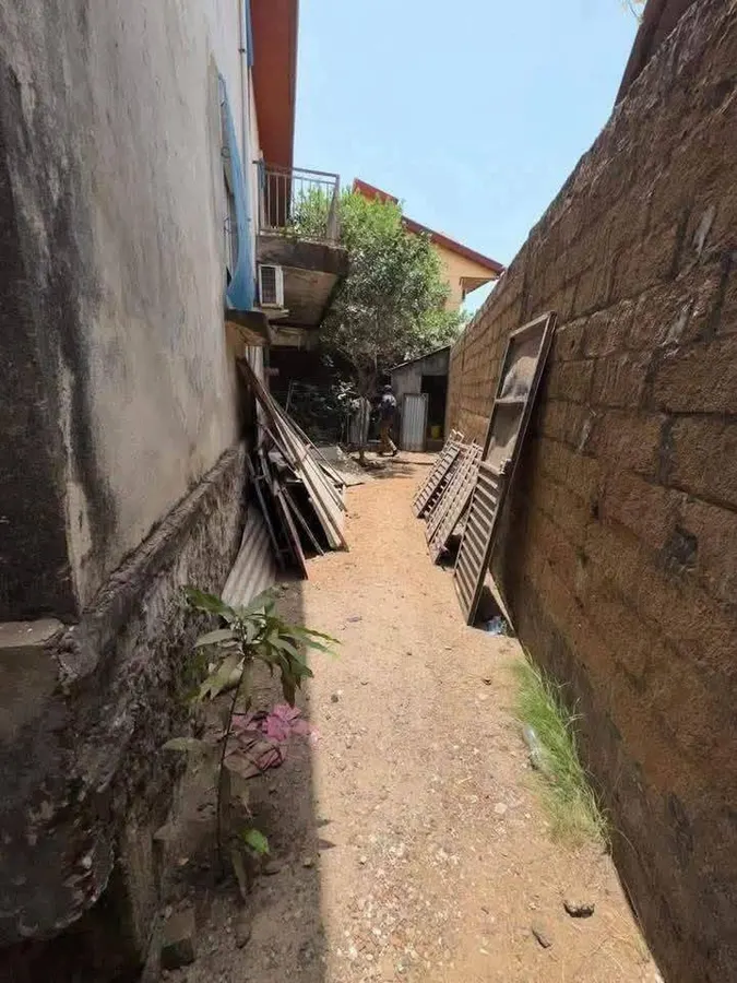 Duplex 7 ch. · Cobaya, photo 4